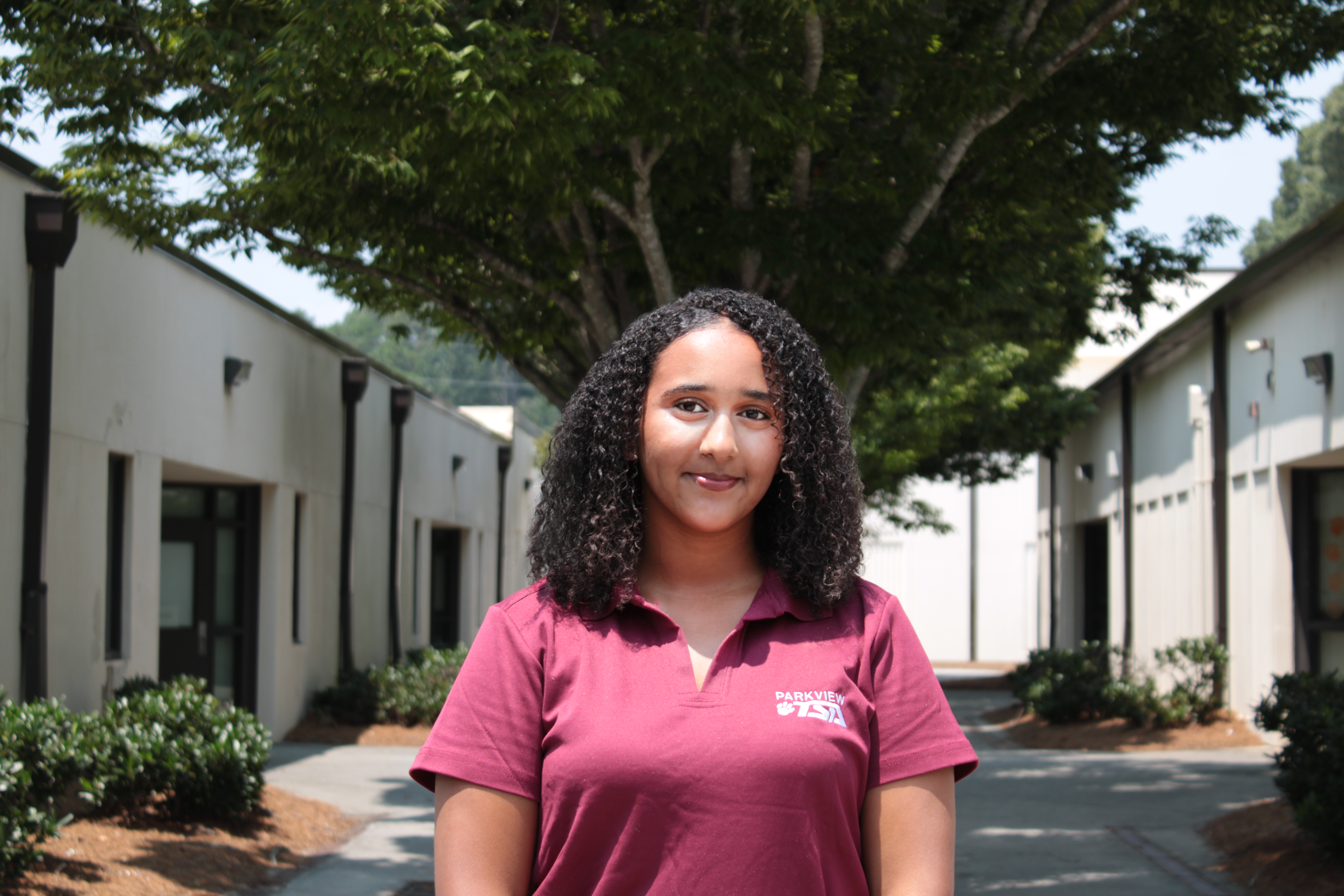 Emnet - Vice President
